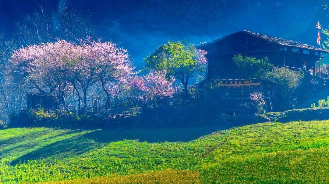 小汽车的太空梦